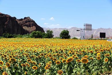 东方同人动作肉鸽游戏《东方祈妖录》Steam页面上线 发售日待定