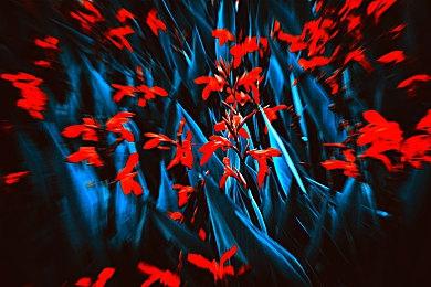 《猫咖经理》试玩Demo上线 支持简体中文