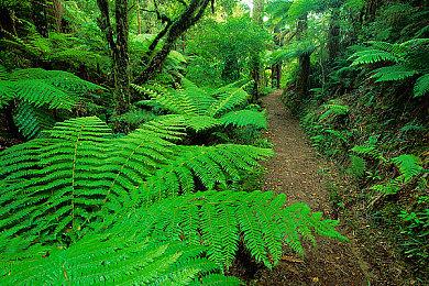 机娘恋爱《Qualia约定的轨迹》5月登陆Switch